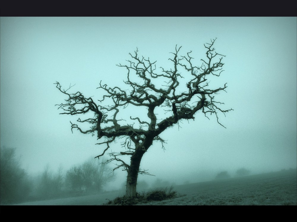 7780021704_5d0e8e1a41_b