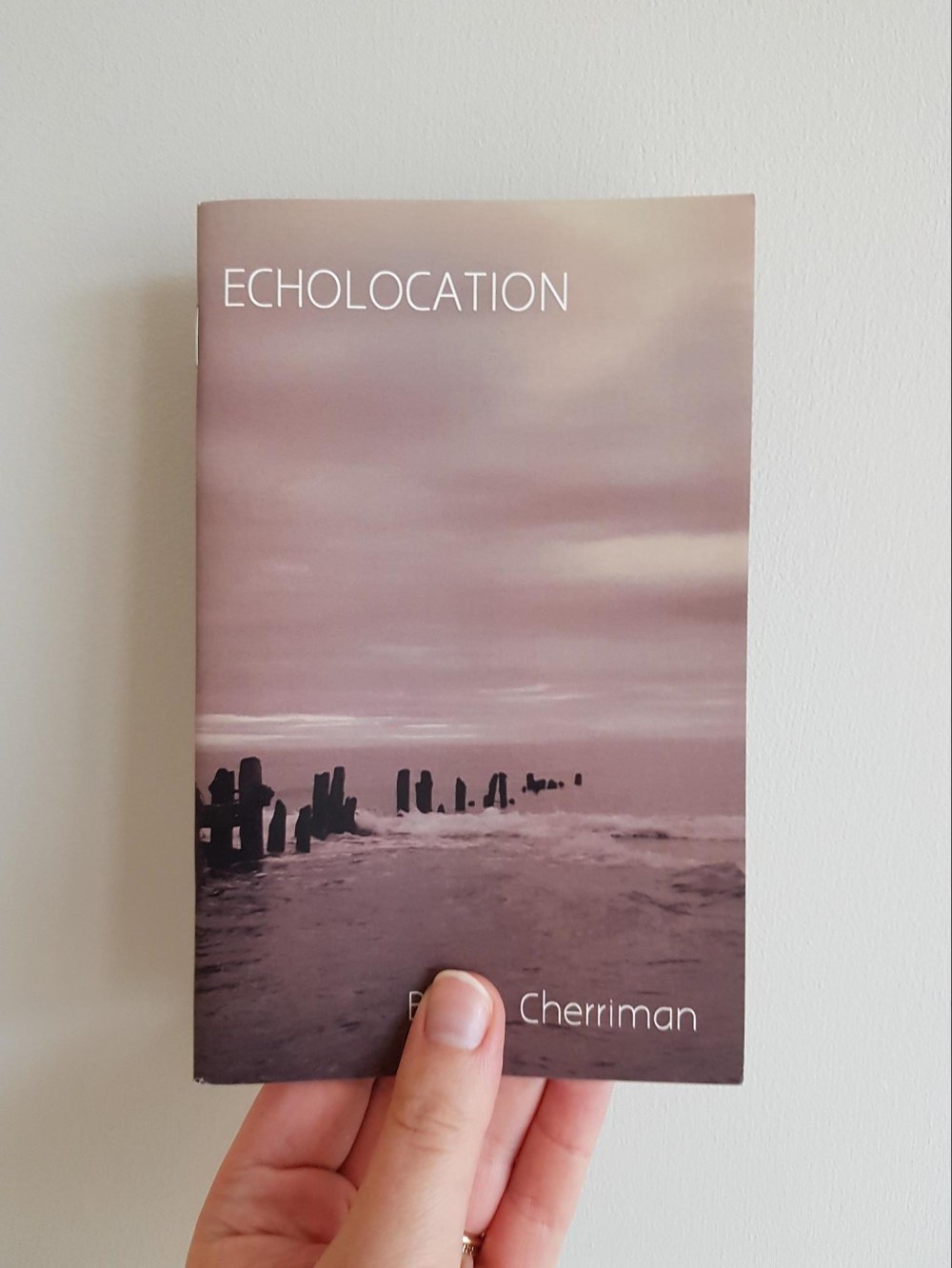 Echolocation by Becky Cherriman
