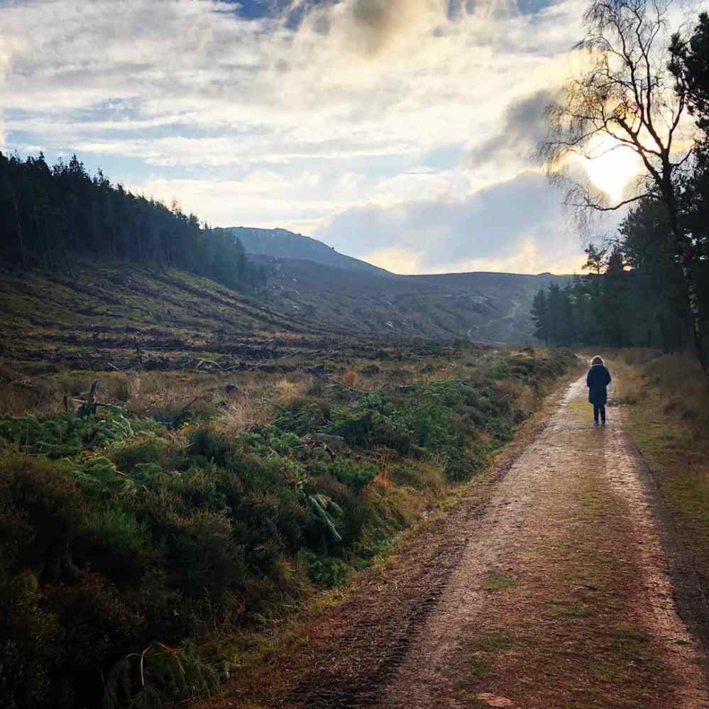 How setting affects a story