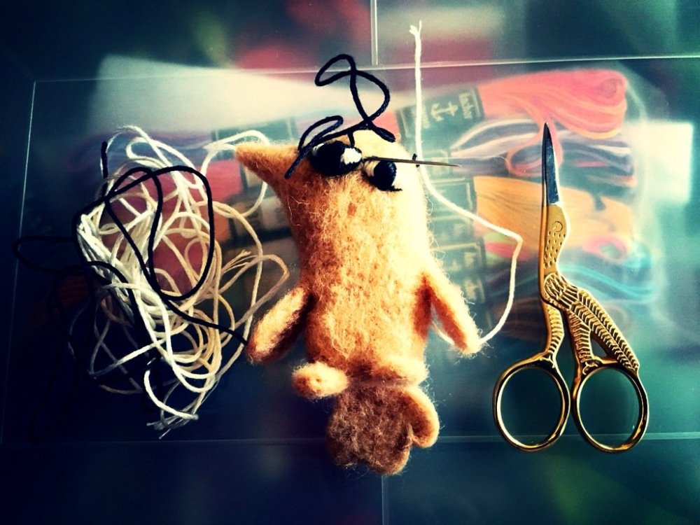 caroline hardaker writes