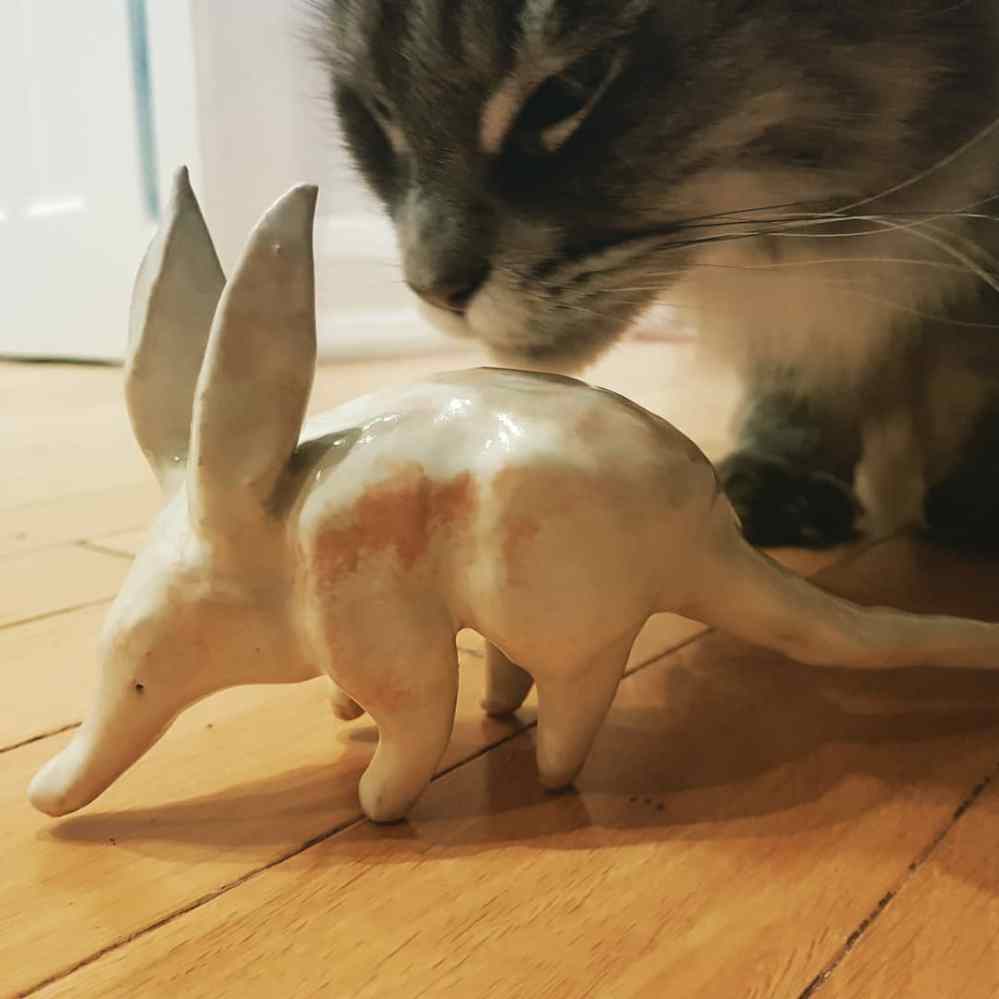 caroline hardaker writes