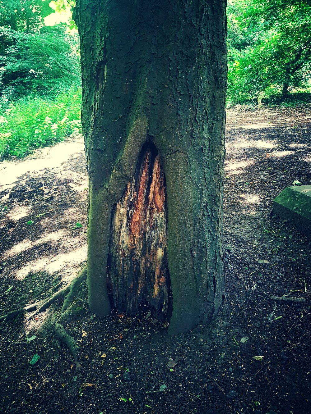 Caroline Hardaker author 