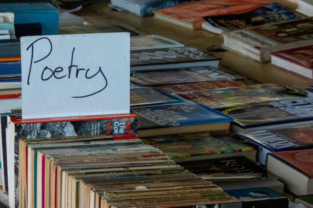 How Poetry Taught Me to Write Better Fiction - rows of second hand poetry books in a used bookshop